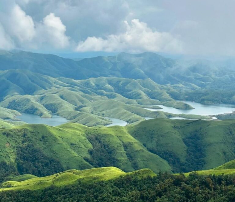 Trail path on Gangadikal Trek surrounded by vibrant flora, leading toward the mountain peak of chikmagalur.