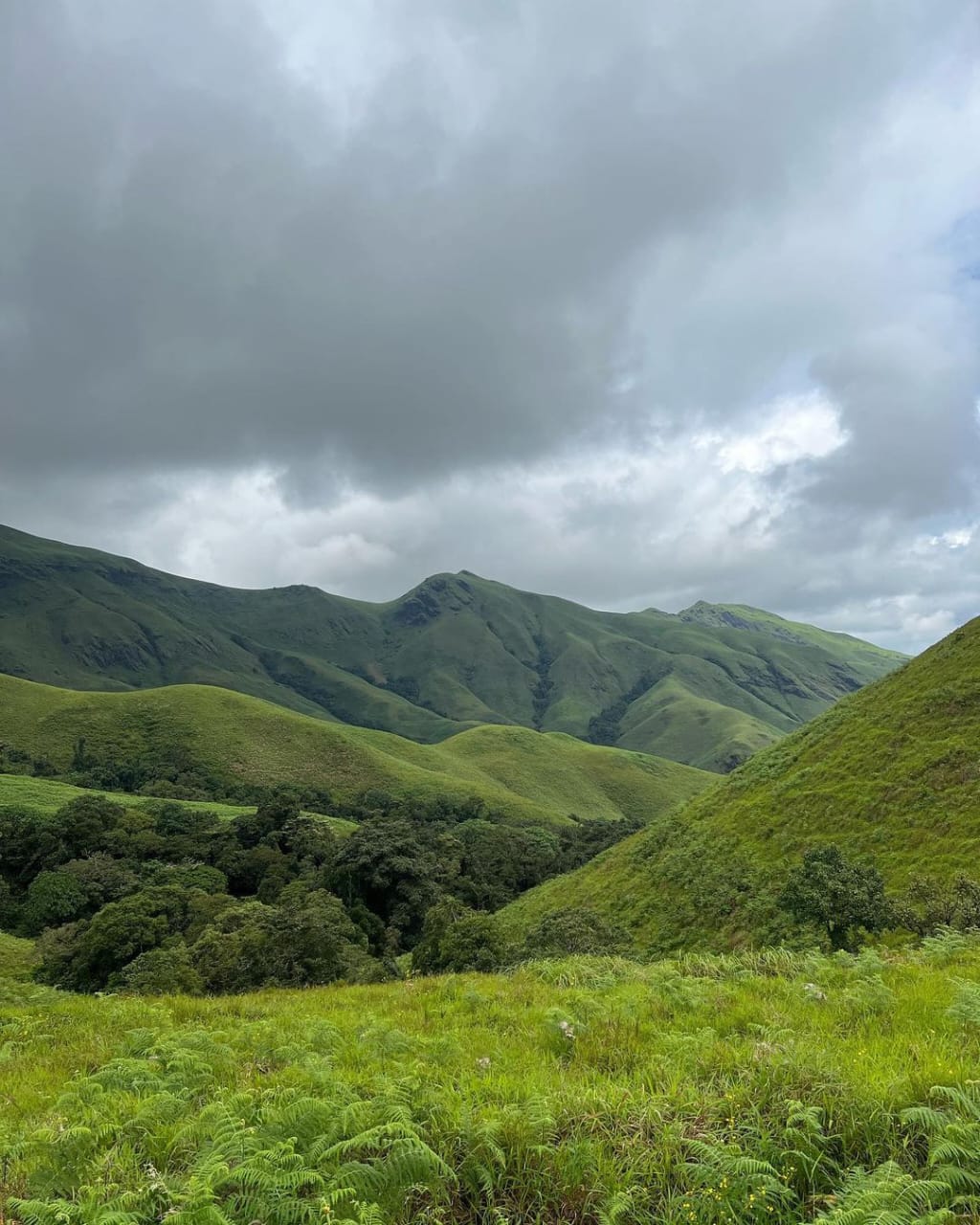 Scenic view of the Kudremukha peak in Karnataka's Western Ghats, featuring rolling green hills, mist-covered valleys, and dense forests during a trek