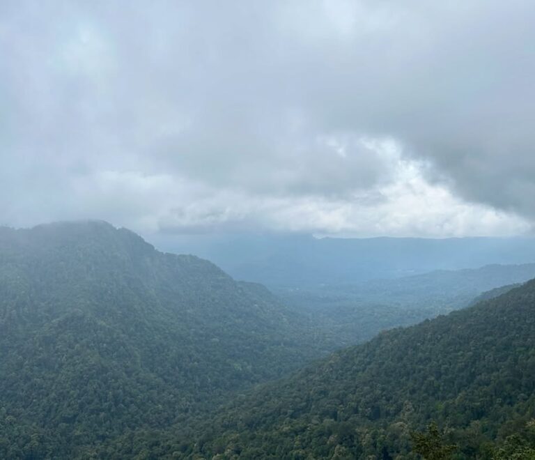 agumbe